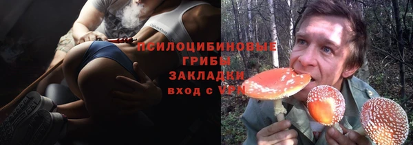 хмурый Белокуриха