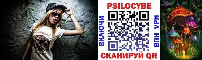продажа наркотиков  Калуга  Галлюциногенные грибы Psilocybine cubensis 